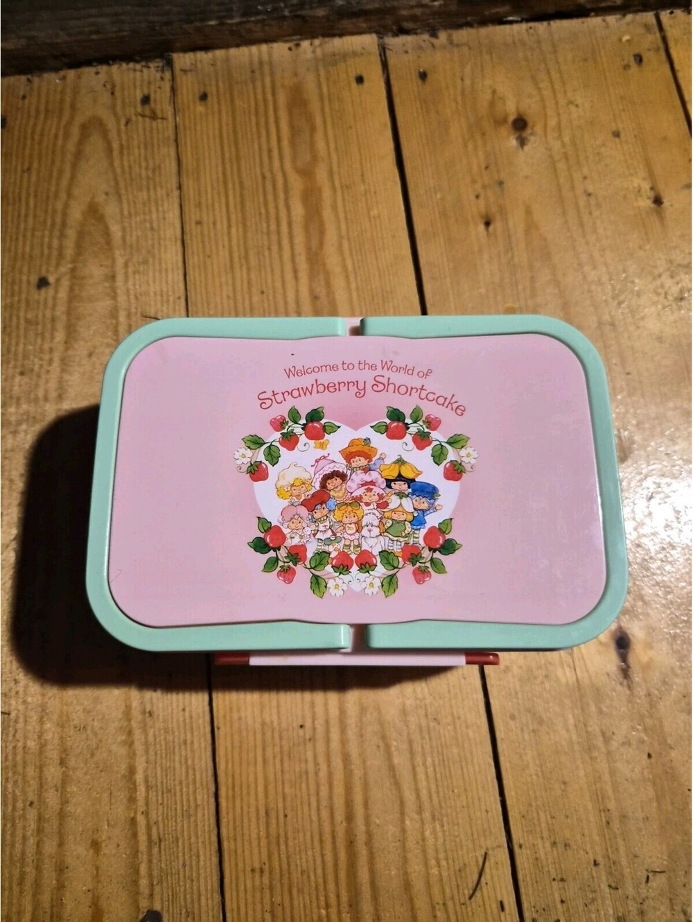 Strawberry Shortcake Bento Box No Bottle